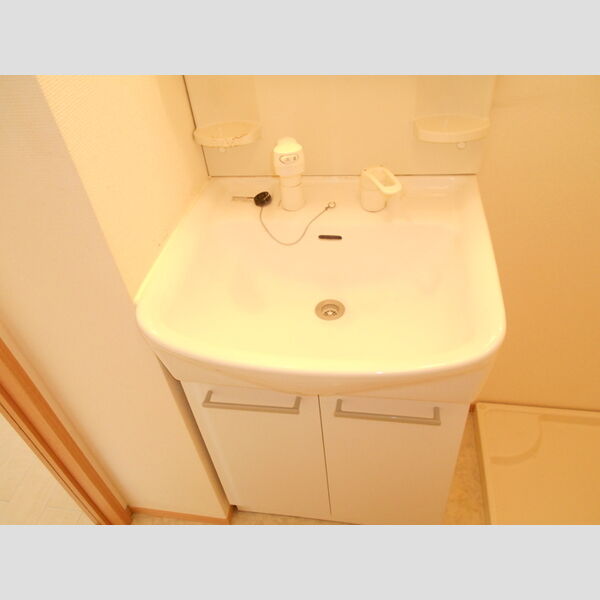 グランメール南台203号室 洗面