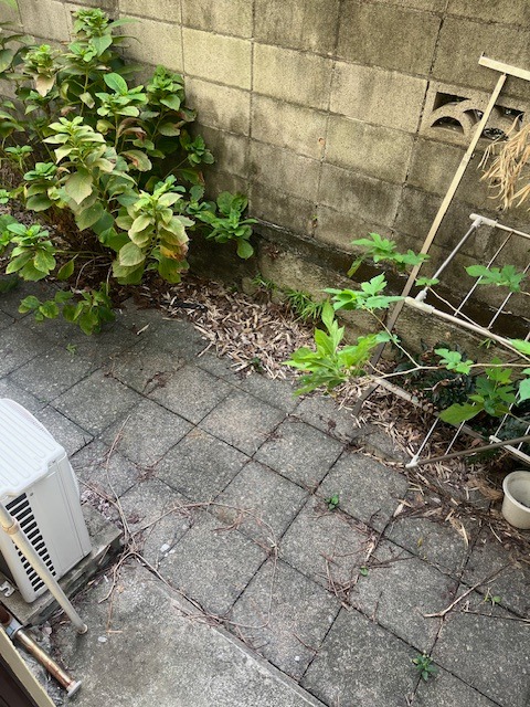 コーポ福田B棟1階 部屋その他