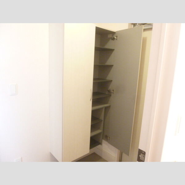 エクセル梨香103号室 玄関　シューズボックスあり