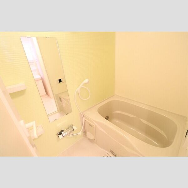 アレグリア柏屋502号室 バスルーム