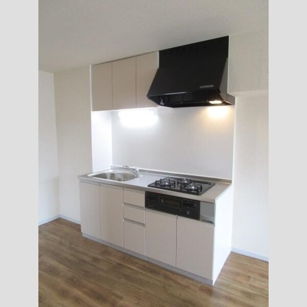 ビラ・ジュニペラス　B棟 システムキッチン