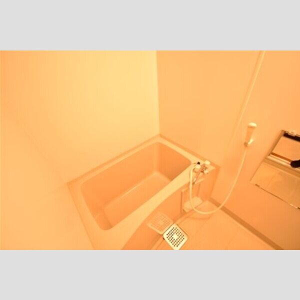 リビングタウン厚木106号室 バス