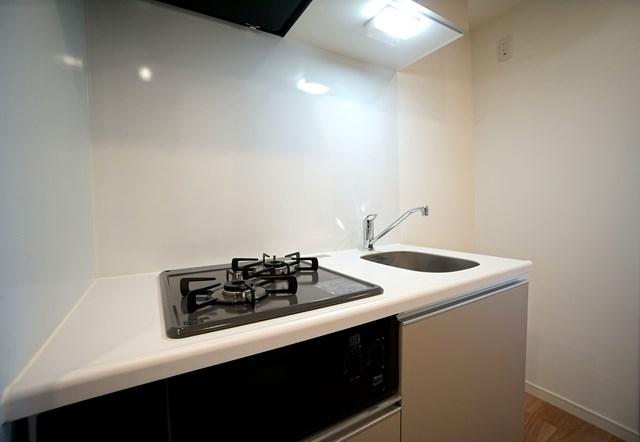 ・ALTERNA亀戸Ⅱ7階 収納