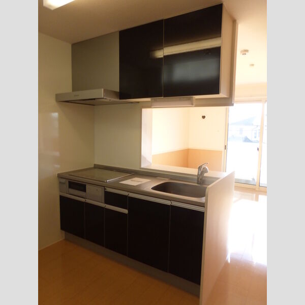 シャトレーウエスト明神206号室 システムキッチン