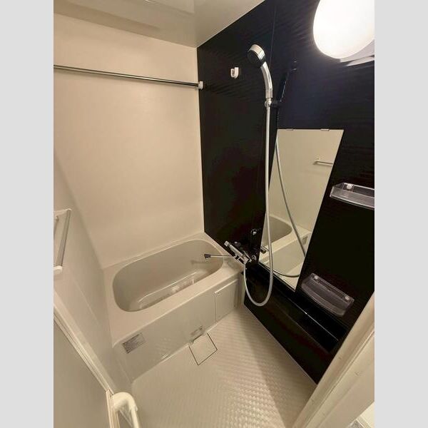 MAXIV ALIVE堀切菖蒲園201号室 洗面