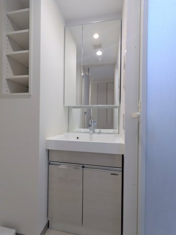 ケーディーエックスレジデンス豊洲213号室 洗面