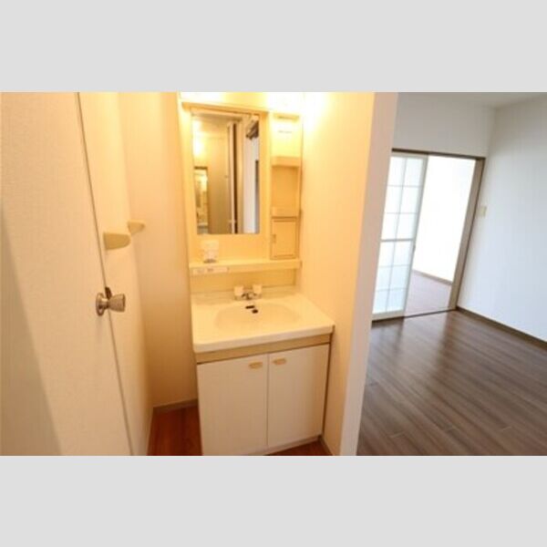 ロイヤルタウン泉　D205号室 洗面台