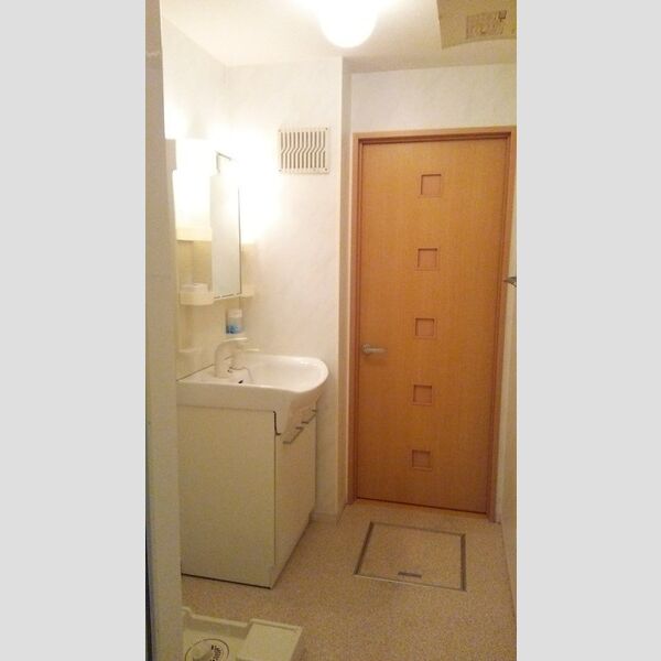 クリスタル　ソレーユ201号室 洗面室