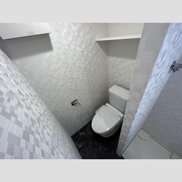 S-RESIDENCE横濱阪東橋304号室 トイレ