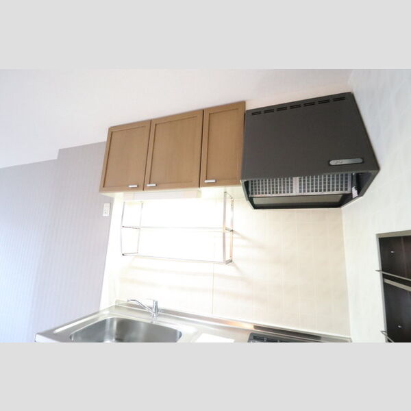 パレドリュンヌ キッチン棚