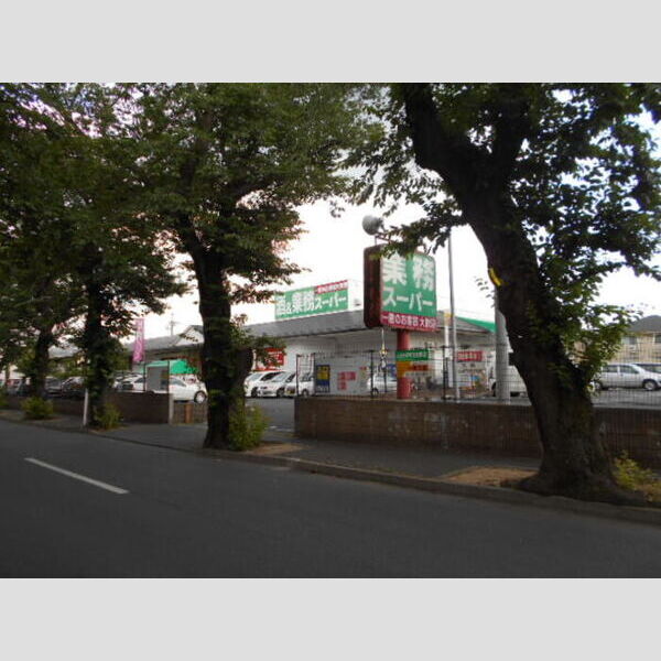 ポルトカリ 業務スーパー常盤平店(71m)