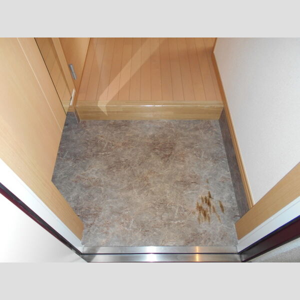 Mフィールド　Ⅴ 玄関