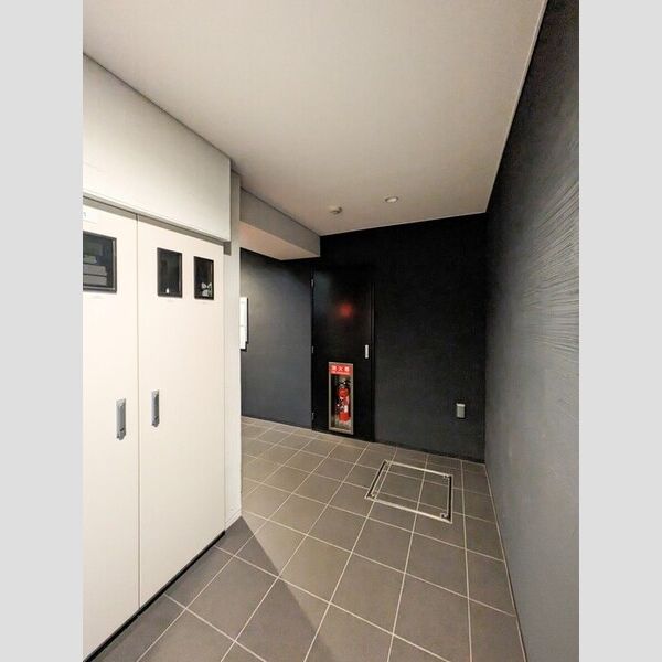 レジデンス東雪谷303号室 エントランス