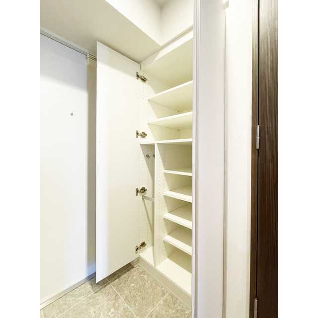 ACP Residence 亀戸0507号室 玄関