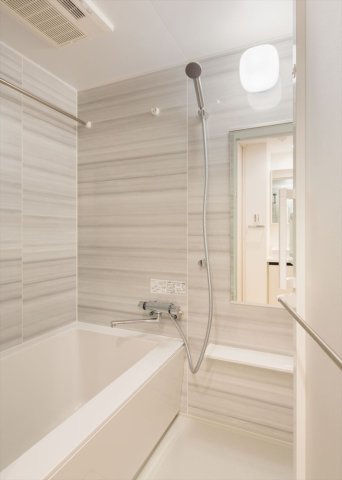 DIPS赤羽駅前803号室 お風呂