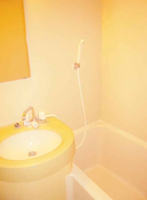 アーバンコア鹿野0607号室 バス