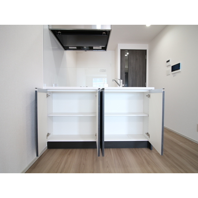 プレール・ドゥーク亀戸Ⅵ908号室 内観