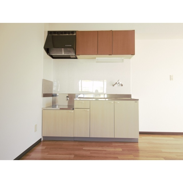 メゾンホソダＢ201号室 キッチン