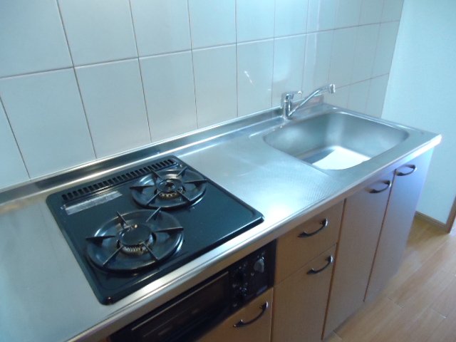 エル・アールＡＳＡＹＡ301号室 洋室