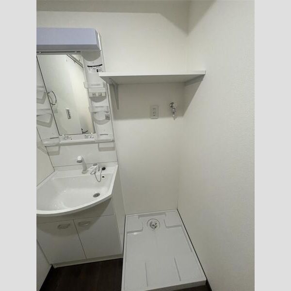 リーブルファイン大袋駅前302号室 洗面