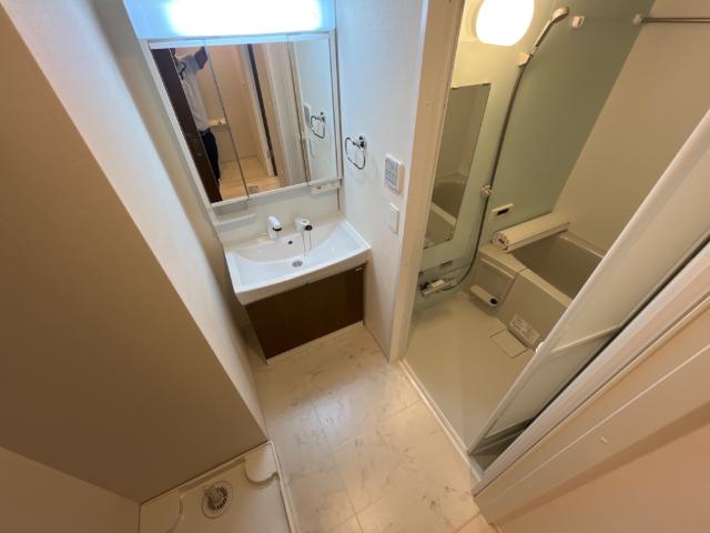 ＨＧＤ佃　-エッチジーディーツクダ-301号室 脱衣所