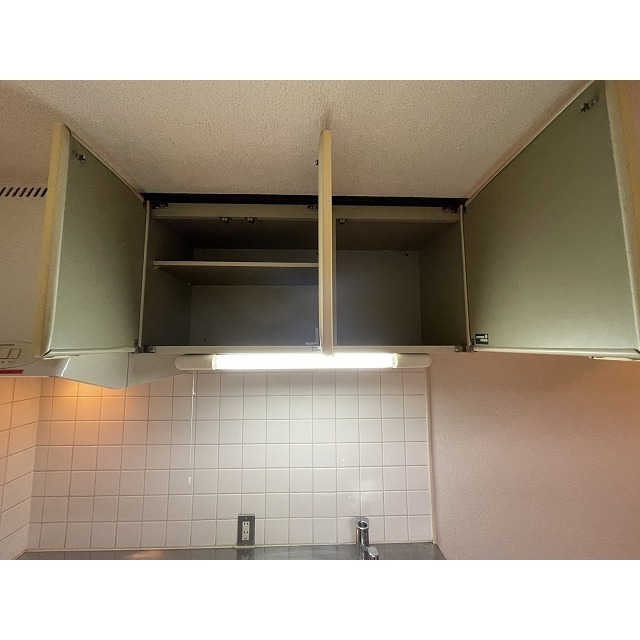 ドミール上池台0101号室 キッチン上収納