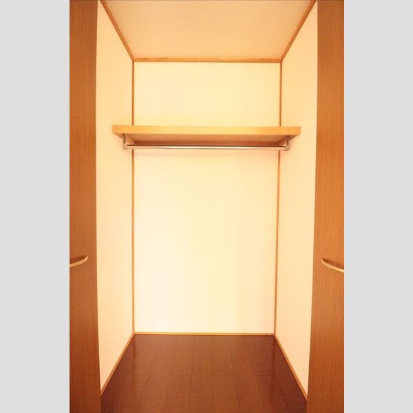 グリーンスクエア　D203号室 クローゼット2