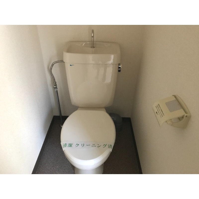 田園コーポラス トイレ