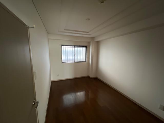 パレスサントピアⅡ00102号室 洋室