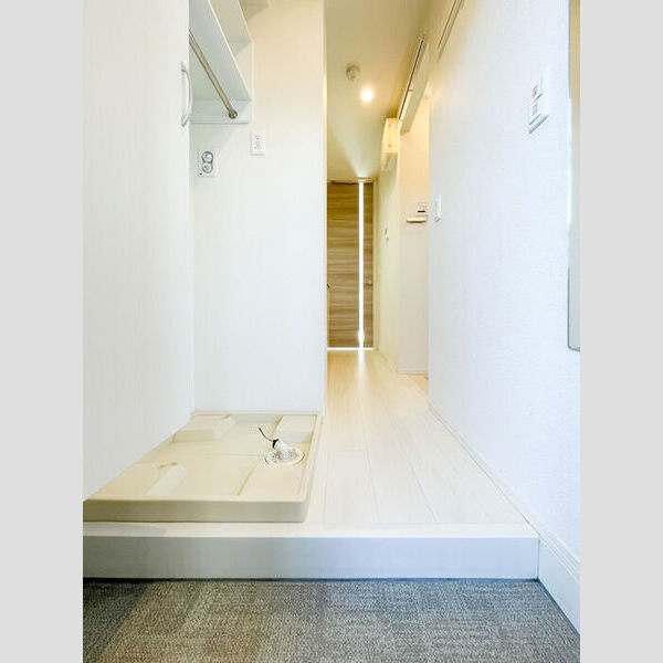 ステラ南水元 玄関