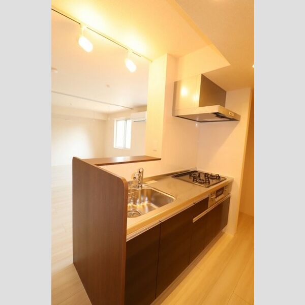 ライフマンションA・B　B206号室 システムキッチン