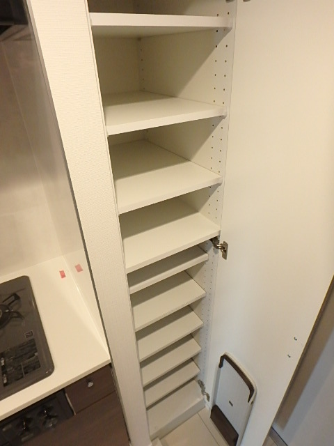 グランド・ガーラ白金高輪 たっぷりとした収納スペースです