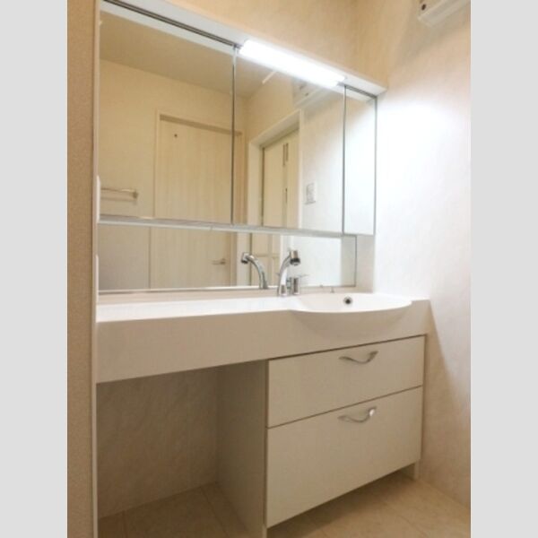 BLESS HOUSE柏西町　C102号室 洗髪洗面化粧台