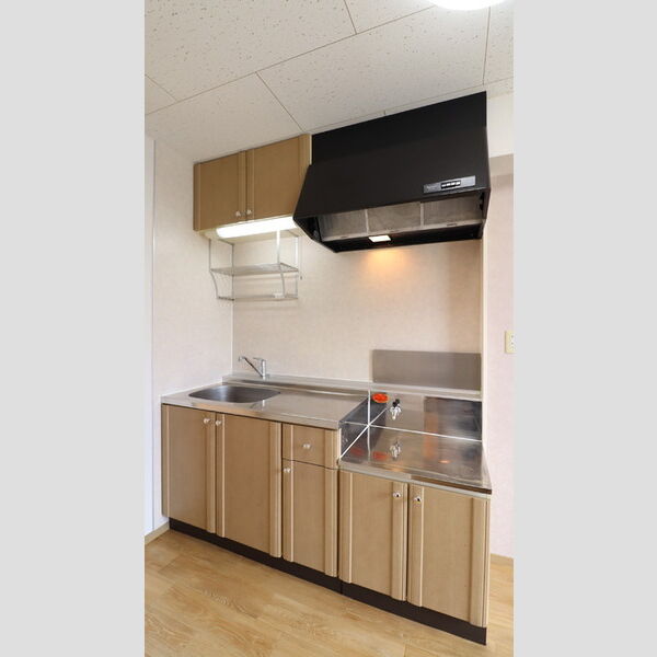 毛呂山ヒルズ202号室 キッチン