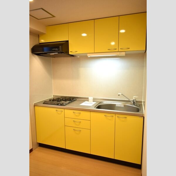 ラ・セネシオ702号室 システムキッチン