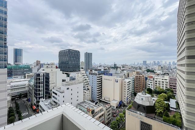 アーバンフラッツ池袋プレミアム15階 眺望