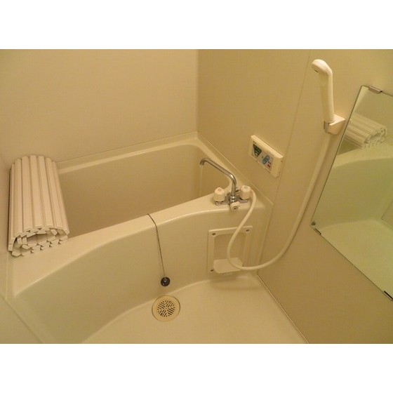 ビューヒル南0202号室 バス