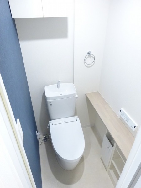 ＡＺＥＳＴ柴又309号室 トイレ