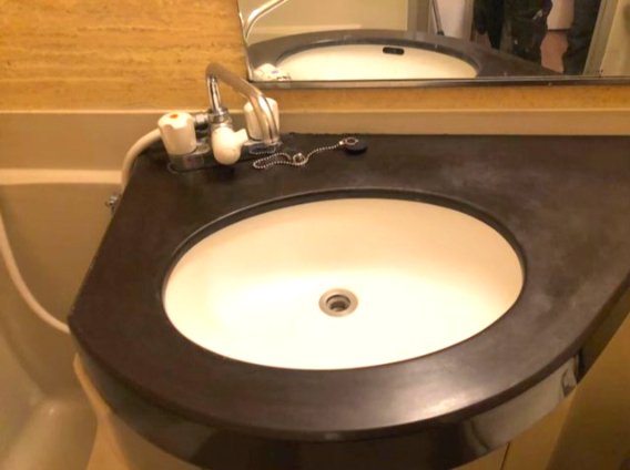 ワコーレエレガンス四ツ木403号室 洗面