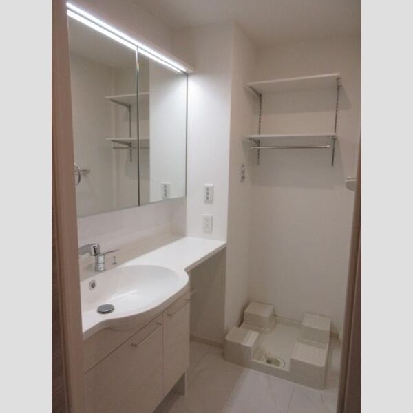 ウィズ203号室 洗面所