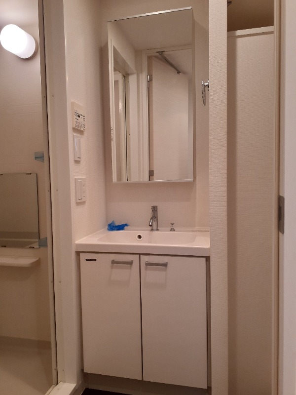 レジディア大森Ⅱ11階 洗面