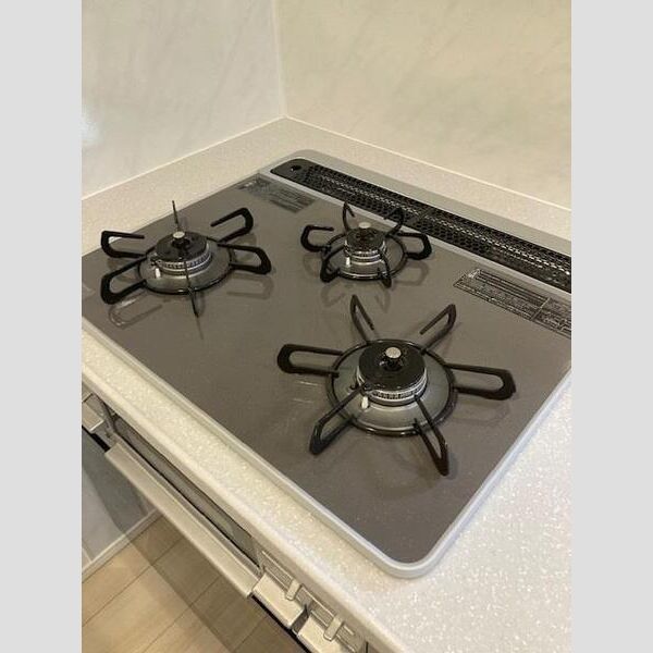 S-RESIDENCE綾瀬rivie801号室 リビング