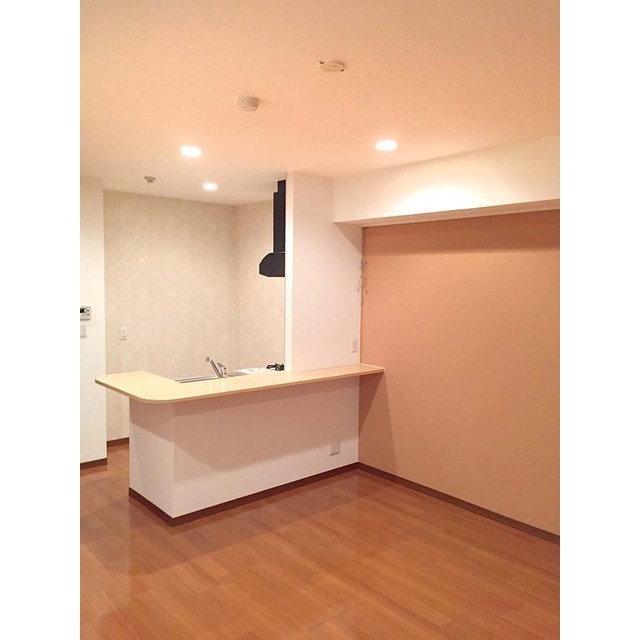 ベルデカーサ日吉 便利なカウンターキッチンです