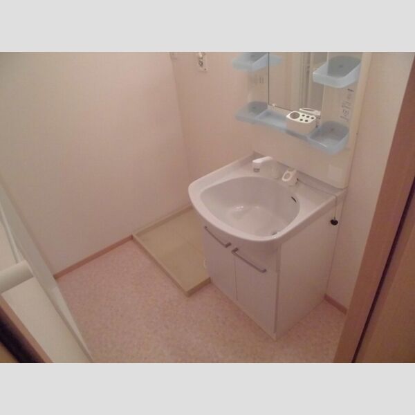 ローズコート宝町 洗髪洗面化粧台