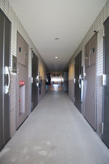 フェニックス新横濱エオール5階 その他共有部分