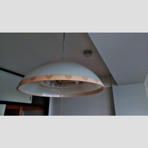 レディース・ビレッジ　ヨシトモ303号室 照明