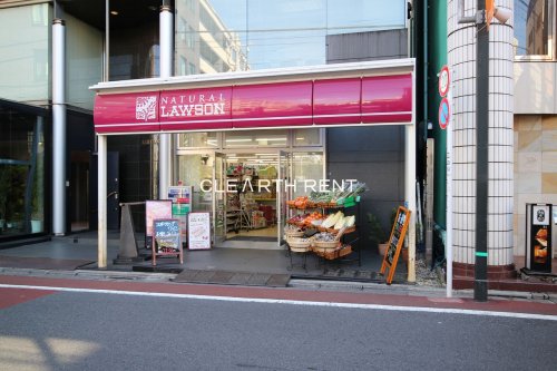 パレステュディオ南青山5階 【コンビニエンスストア】ナチュラルローソン 港日赤通り店まで572ｍ