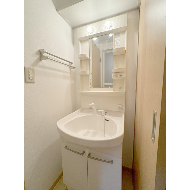 グリーンリーブスタチバナＢ棟205号室 独立洗面化粧台付き