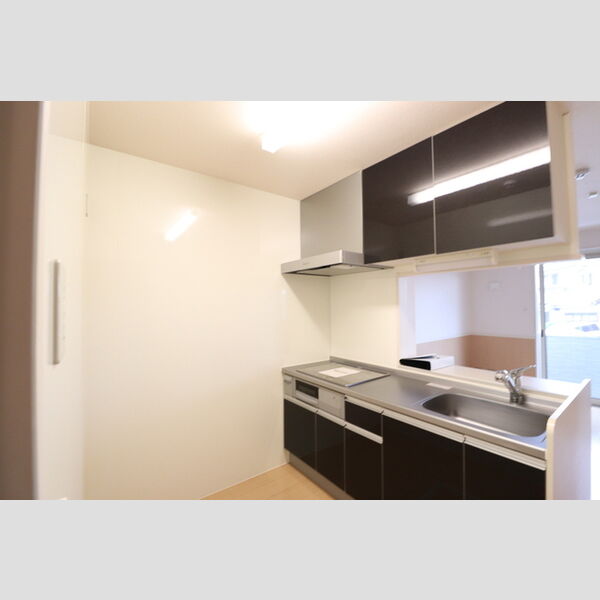 シャトレーウエスト明神106号室 システムキッチン
