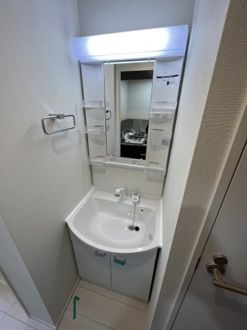 ハーモニーテラス上中里0106号室 洗面